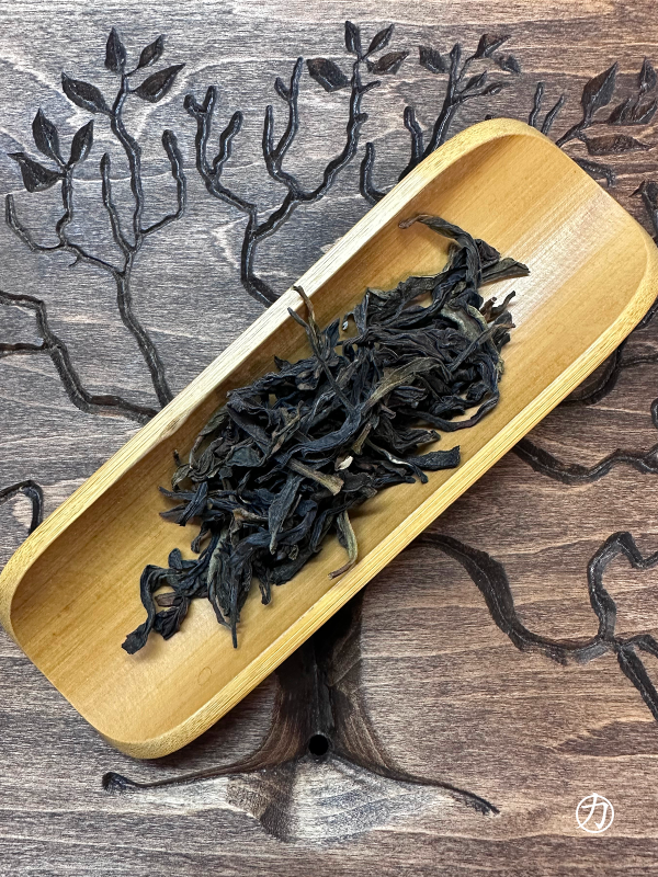 Я Ши Сян Дань Цун / DARK DUCK